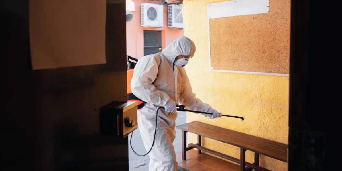 How to Choose the Best Pest Control Termite Treatment for Your Home