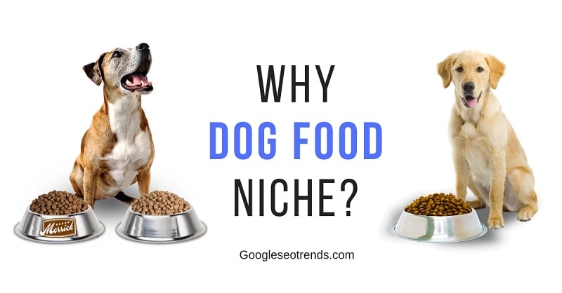SEO for dog food Niche