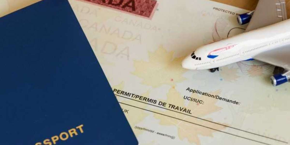 10 Things to Consider Before Submitting Online Application for Canada Tourist Visa