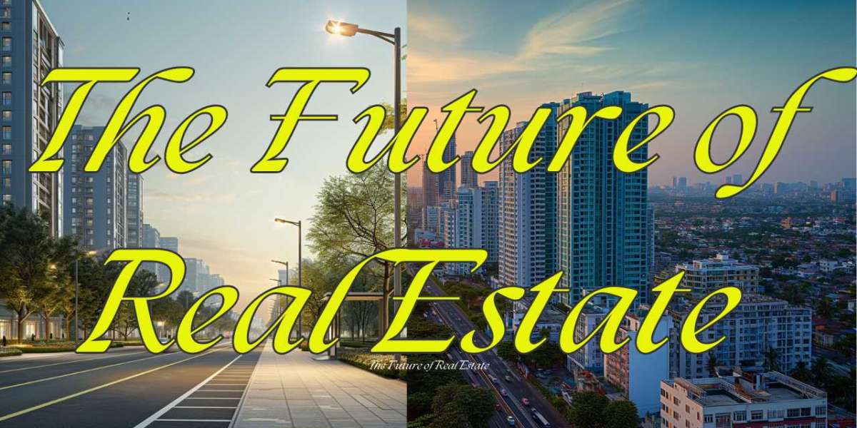 The Future of Real Estate: Insights from Bigestate Network