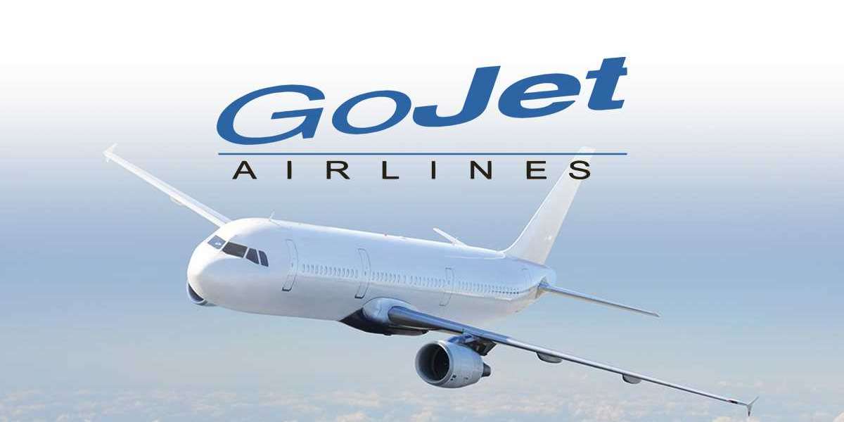 Gojet Airlines Check In
