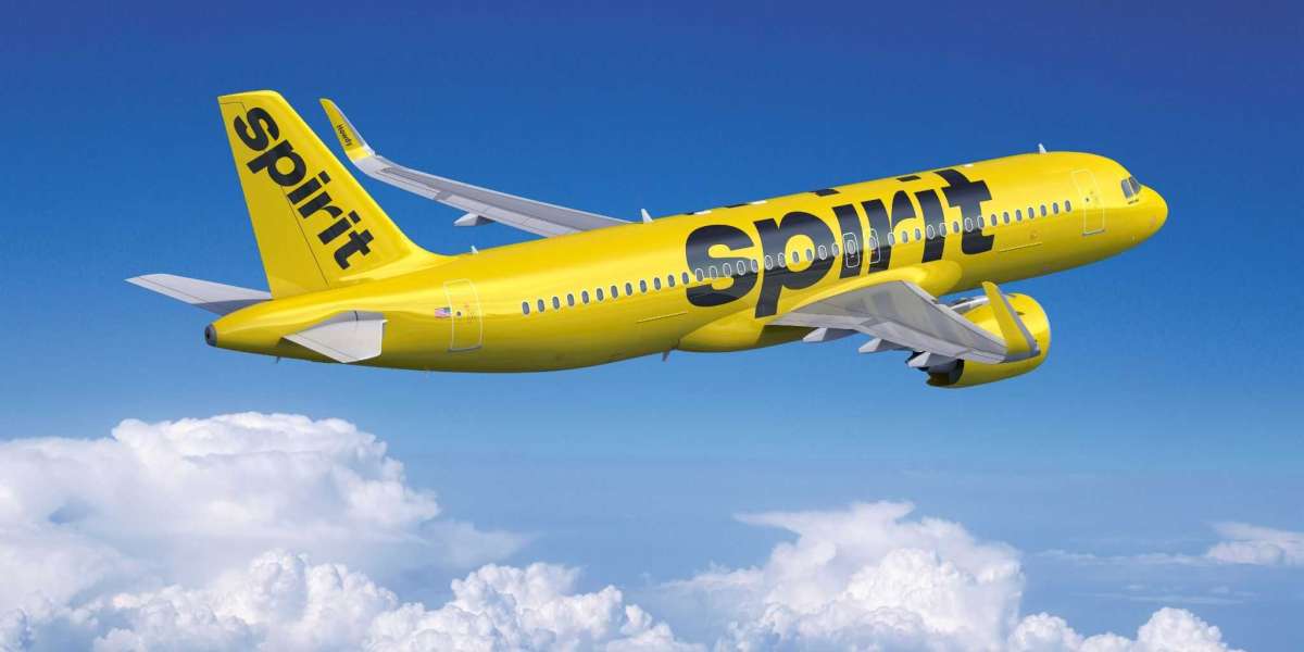 Spirit Airlines Lost and Found