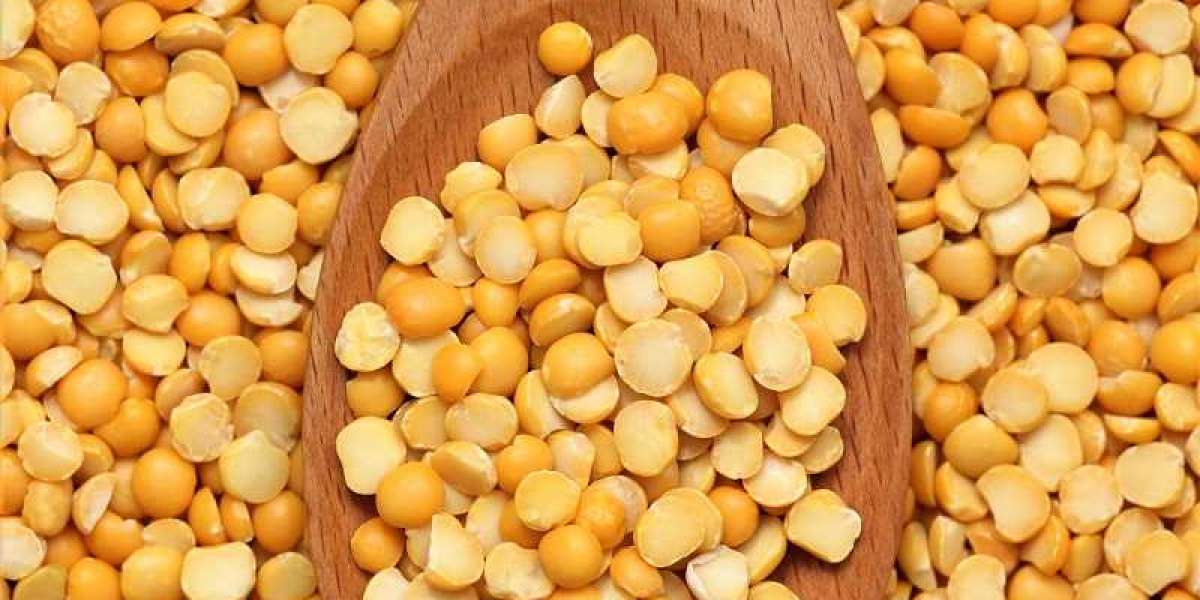 Yellow Pea Protein: The Future of Plant-Based Nutrition