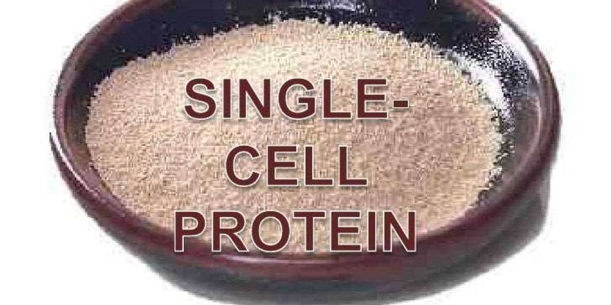 Spirulina and Beyond: Exploring the Expanding Single Cell Protein Market