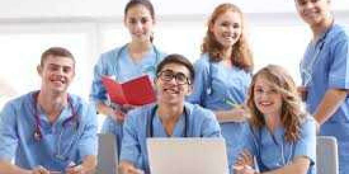 DNP Writing Services: Your Pathway to Academic Success and Nursing Essay Solutions