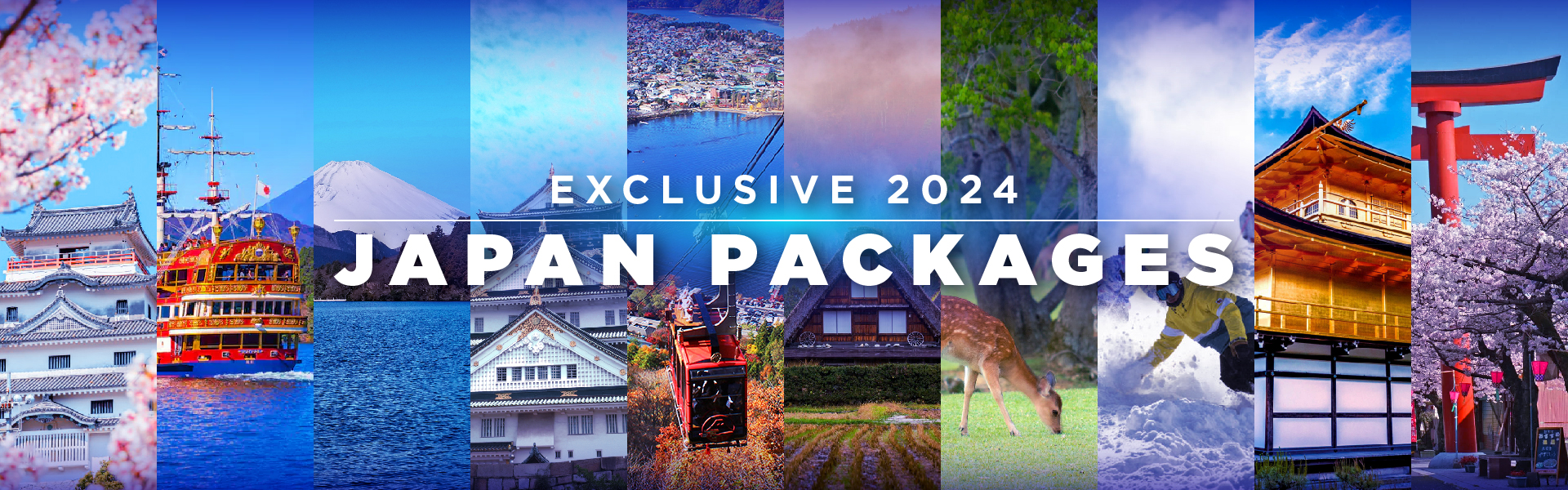 Japan Packages | Private Guided Tour | Muslim Tour Package