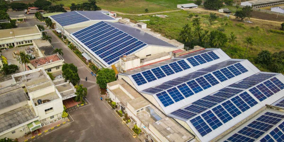 Eco-Friendly Living: Transitioning to Solar Energy in Sunshine Coast
