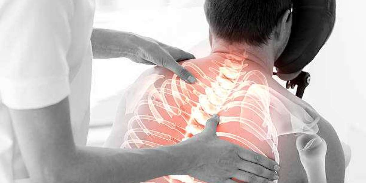 Discover Auckland's Finest: Unveiling the Best Chiropractor Services in Auckland