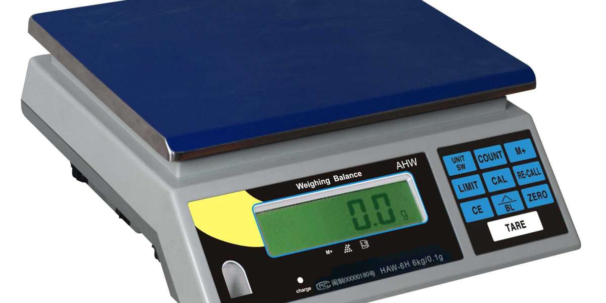 India Electronic Weighing Scale Market Share till 2032