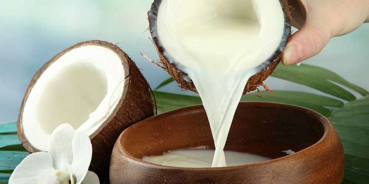 Creamy Success: Insights into the Global Coconut Milk Products Market