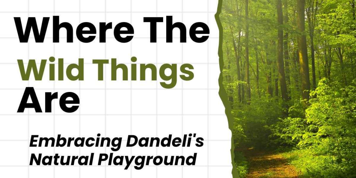 Dandeli Diaries: Unveiling Nature's Ultimate Playground