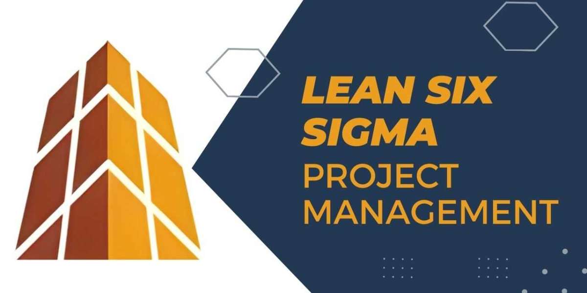 Lean Six Sigma Project Management