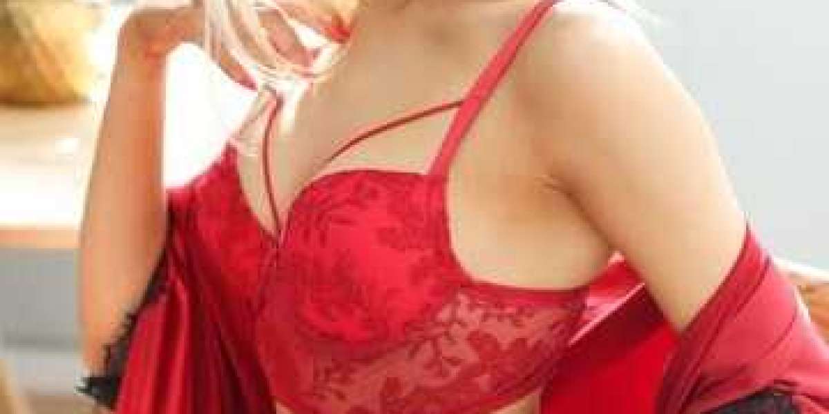 Our Best Udaipur Escorts Agency