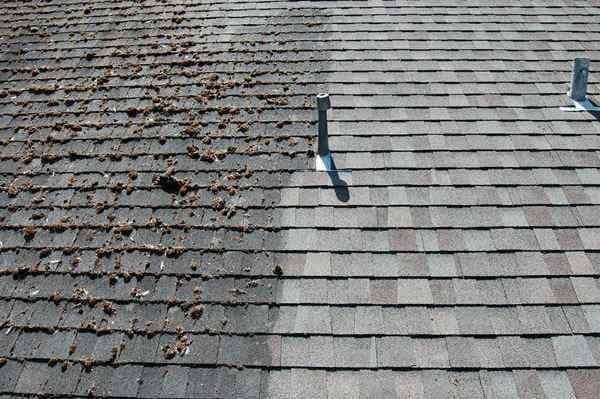 Professional Roof Cleaning Services | Grace Roof Cleaning
