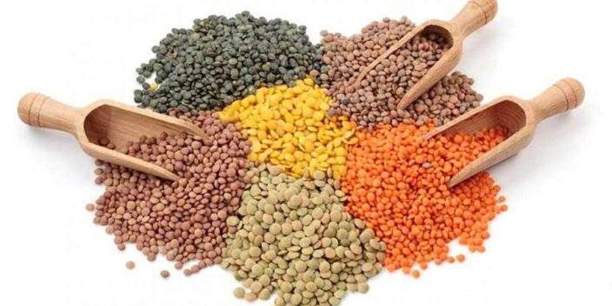 Sustainability and Nutrition: Driving Factors in the Lentil Protein Market