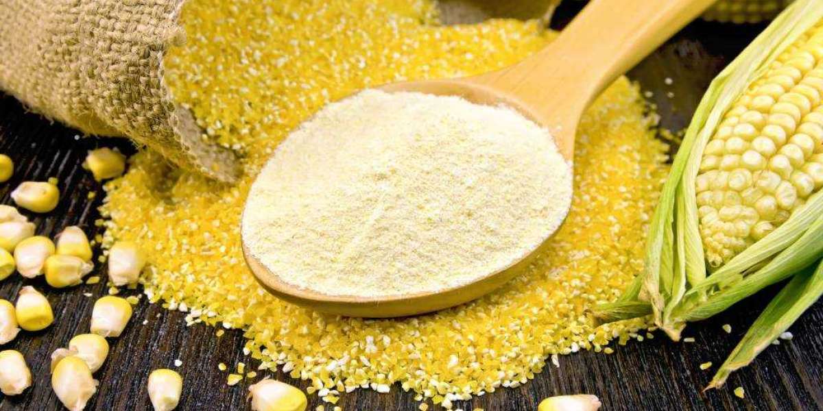 Health-conscious Consumers Drive Growth in the Precooked Corn Flour Market