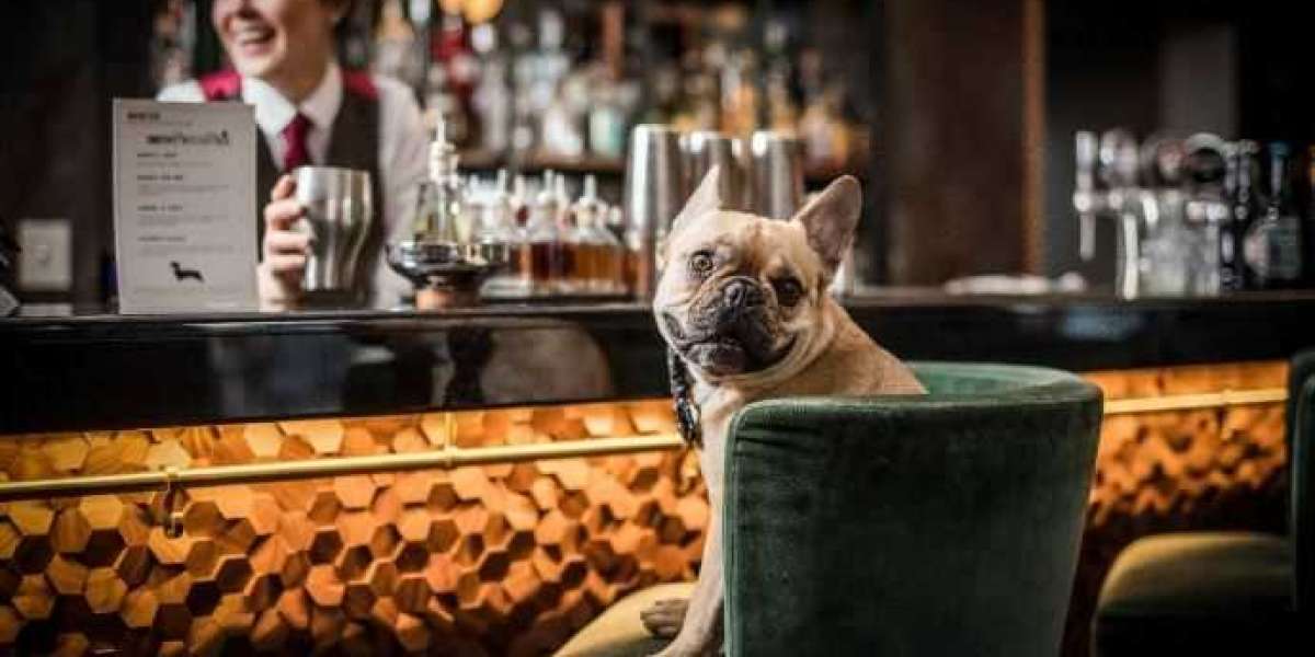 Sniffing Out the Best: Premier Dog-Friendly Restaurants to Visit