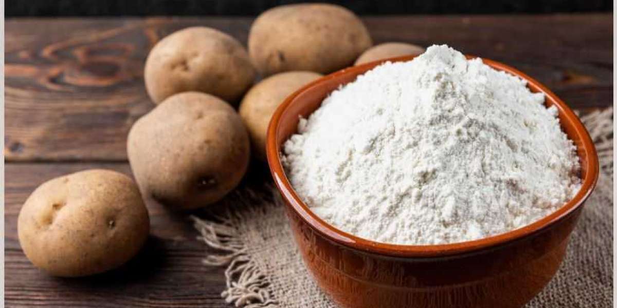 Starch Market Investment Opportunities, Future Trends, Business Demand and Growth Forecast 2029