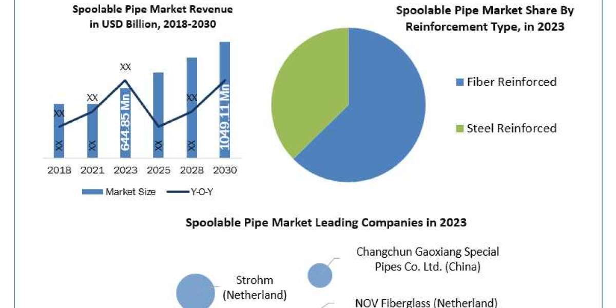 Spoolable Pipe Market Report Focus On Landscape Current And Future Development 2024-2030