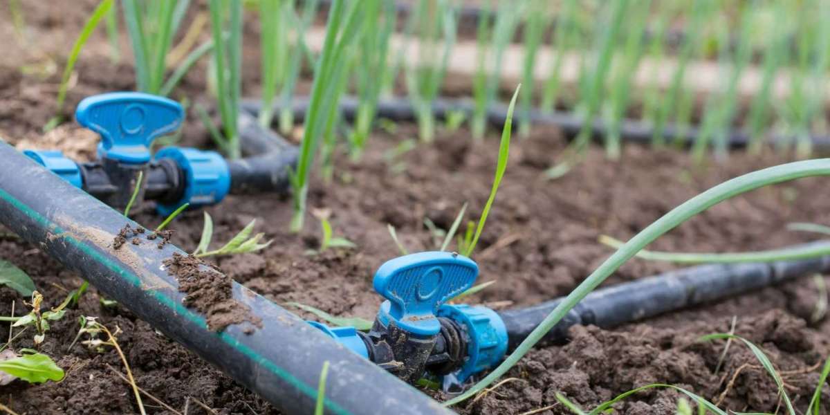 Drip Irrigation Systems Manufacturing Plant Project Report 2024: Unit Setup, Cost and Requirements, Project Economics