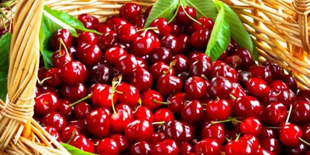 From Orchard to Table: Exploring the Dynamics of the Fresh Cherries Market