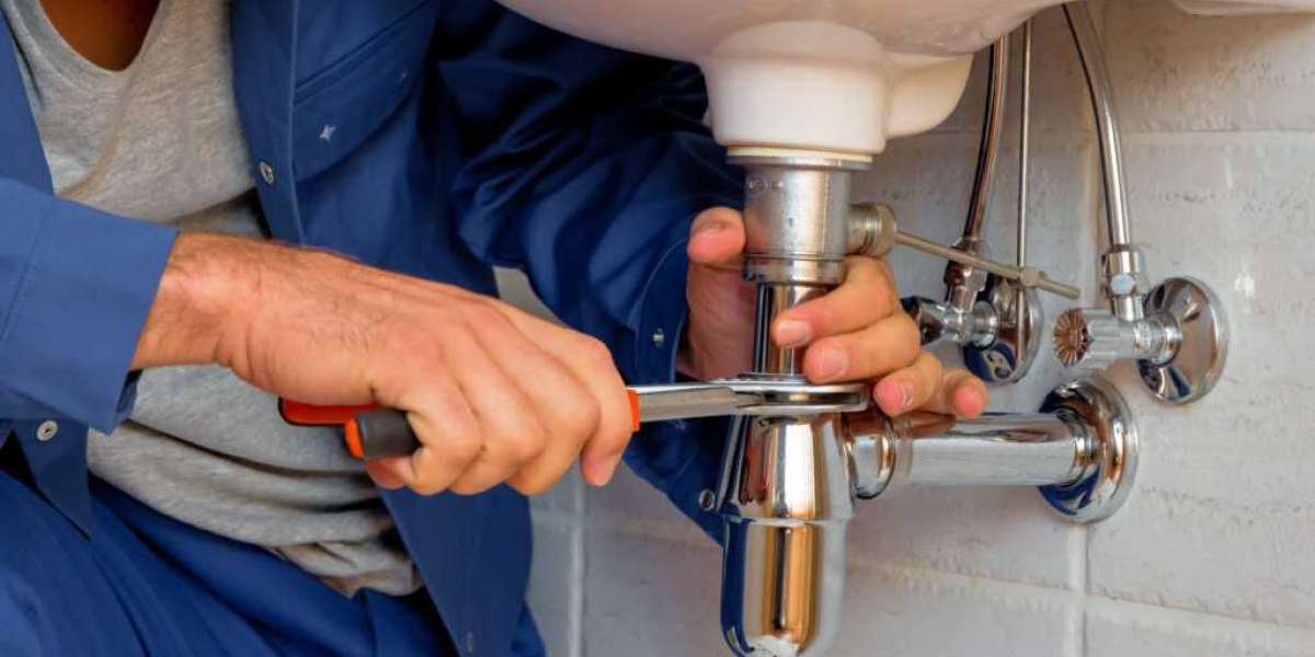 How Accurate are San Diego Plumber Reviews? Explained!