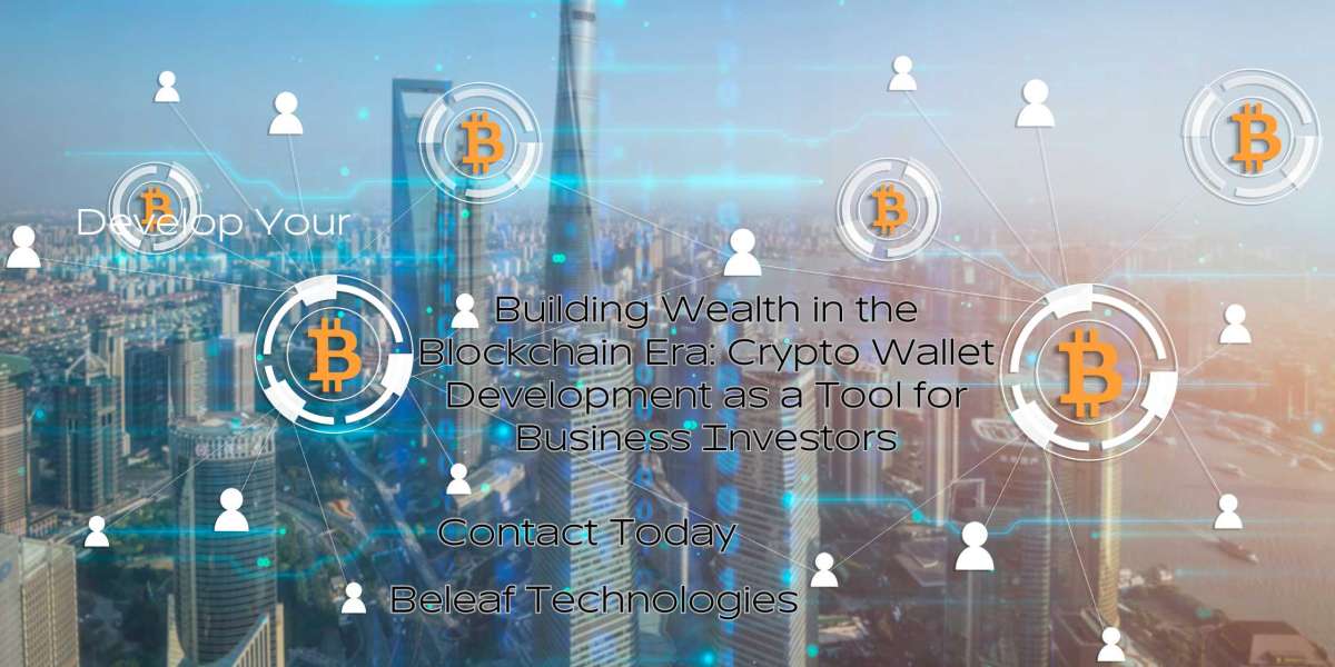 Building Wealth in the Blockchain Era: Crypto Wallet Development as a Tool for Business Investors