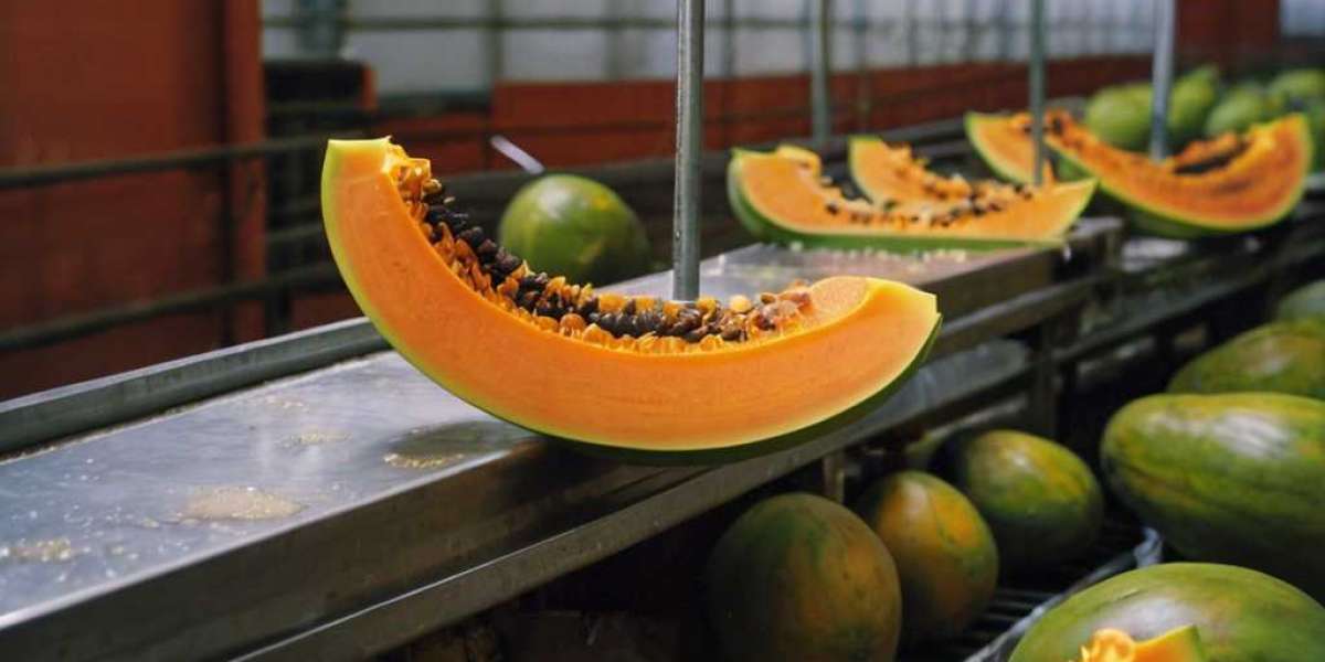 Papaya Processing Plant Report 2024 | Project Details by IMARC Group