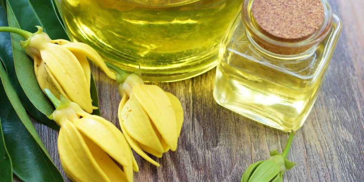 The Rise of Ylang Ylang Extract in the Natural Products Industry