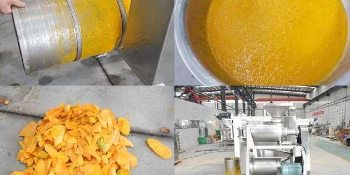 Mango Pulp Manufacturing Plant Setup Report 2024 | Unit Operations, Machinery Requirements and Cost Involved
