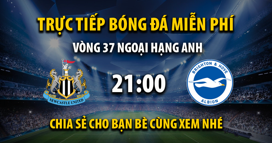 Link trực tiếp Newcastle United vs Brighton 21:00, ngày 11/05 - Andromda.org
