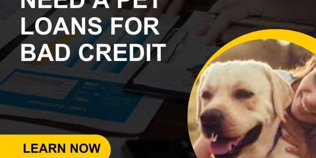 Exploring the Benefits of Pet Loans for Credit in USA