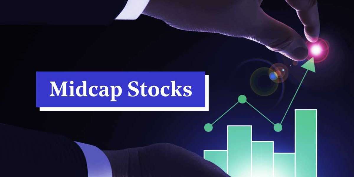 Best Mid Cap Stocks Company to Invest in 2024