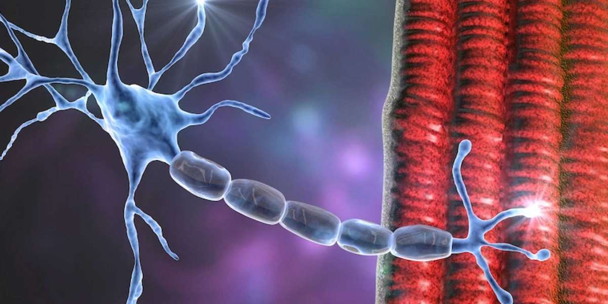 Amyotrophic Lateral Sclerosis (ALS) Market: Epidemiology, Trends, Demand, Share, Size (2024-2034)