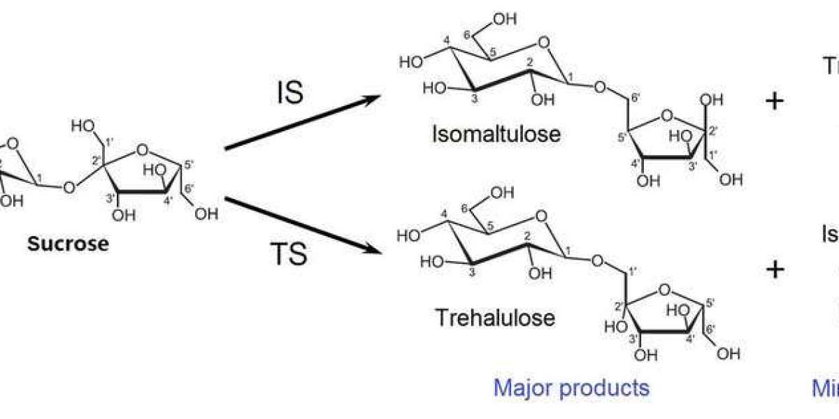 Isomaltulose: A Low-Glycemic Sweetener Transforming the Food Industry