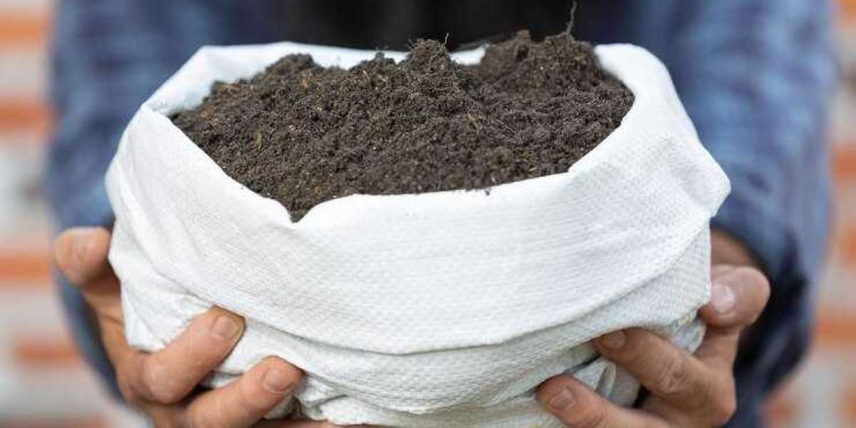 United States Biochar Market Size, Trends and Overview 2024-2032