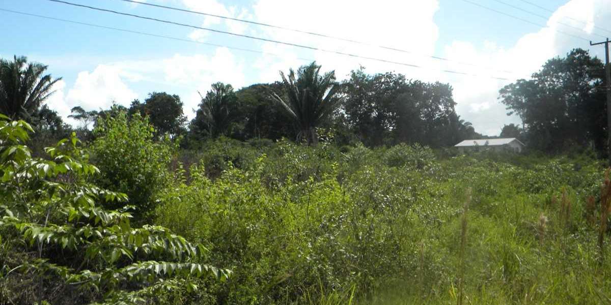 Belize Land for Sale: A Comprehensive Guide