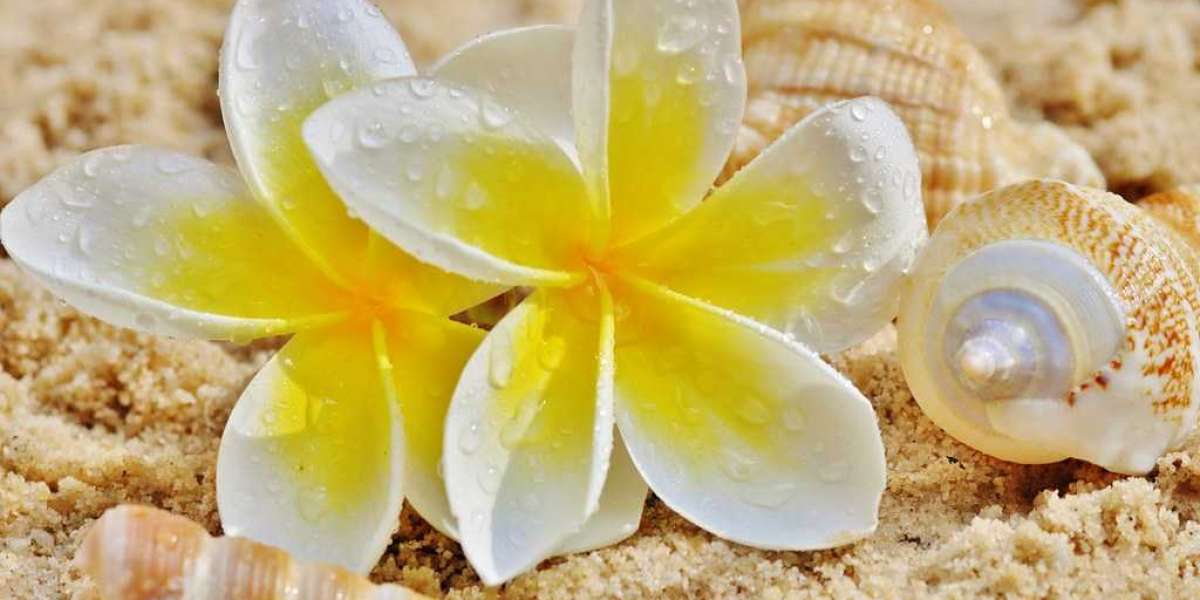 Harnessing the Aromatic Appeal: Frangipani Extract Market Dynamics