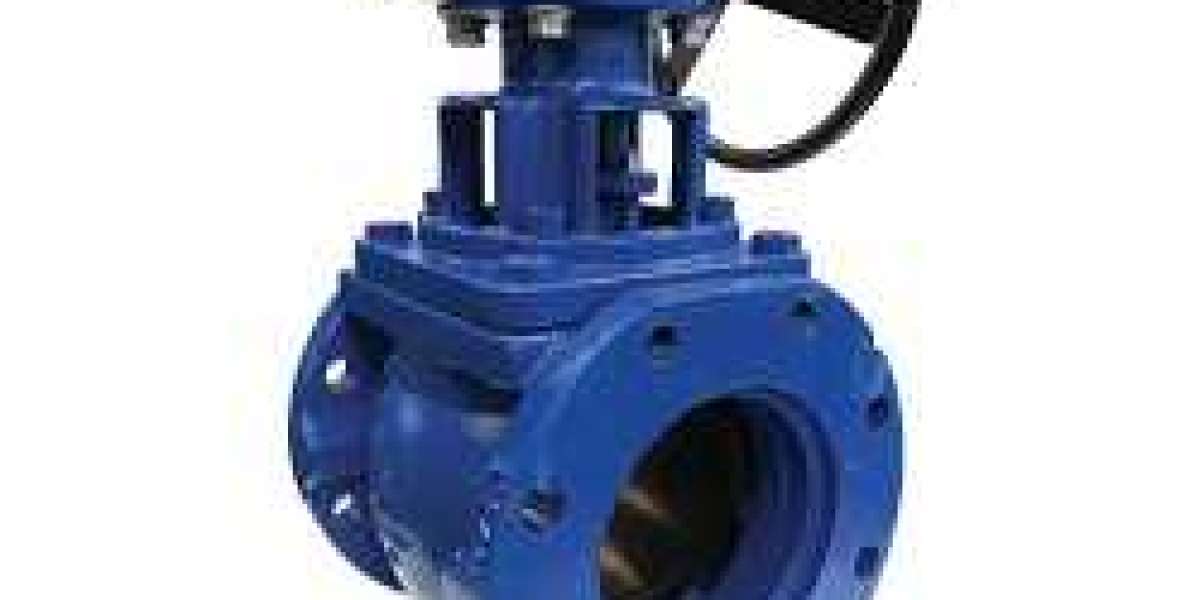 Eccentric Plug valve supplier in Brazil