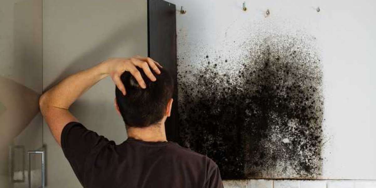 How to Remove Mold from Air Ducts