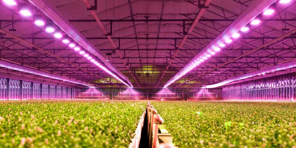 Asia Pacific Horticulture Lighting Market Dynamics till 2032