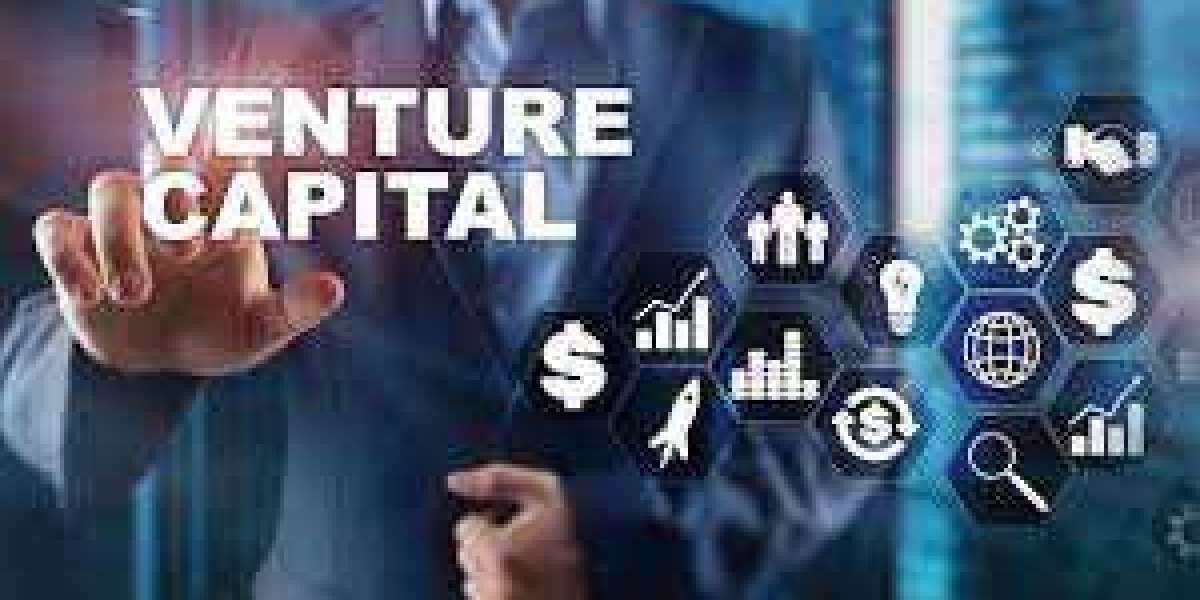 Unveiling the Dynamics of Venture Capital Funding: A Comprehensive Guide