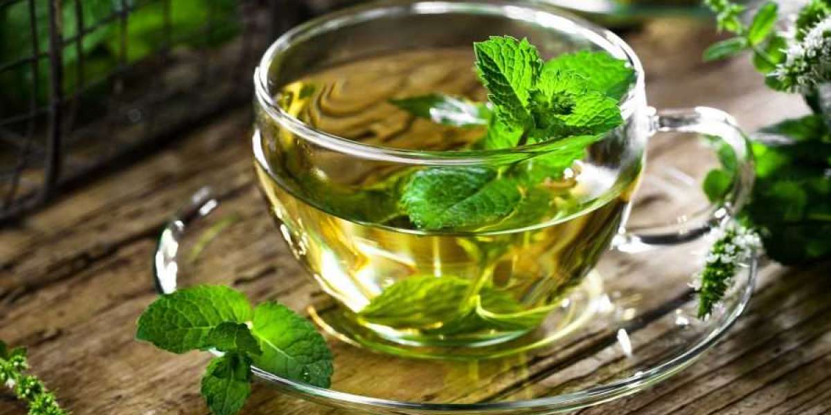 Health Benefits Fueling the Surge in Peppermint Tea Demand