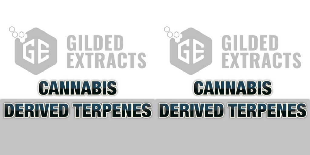 The Intriguing World of Cannabis Terpenes
