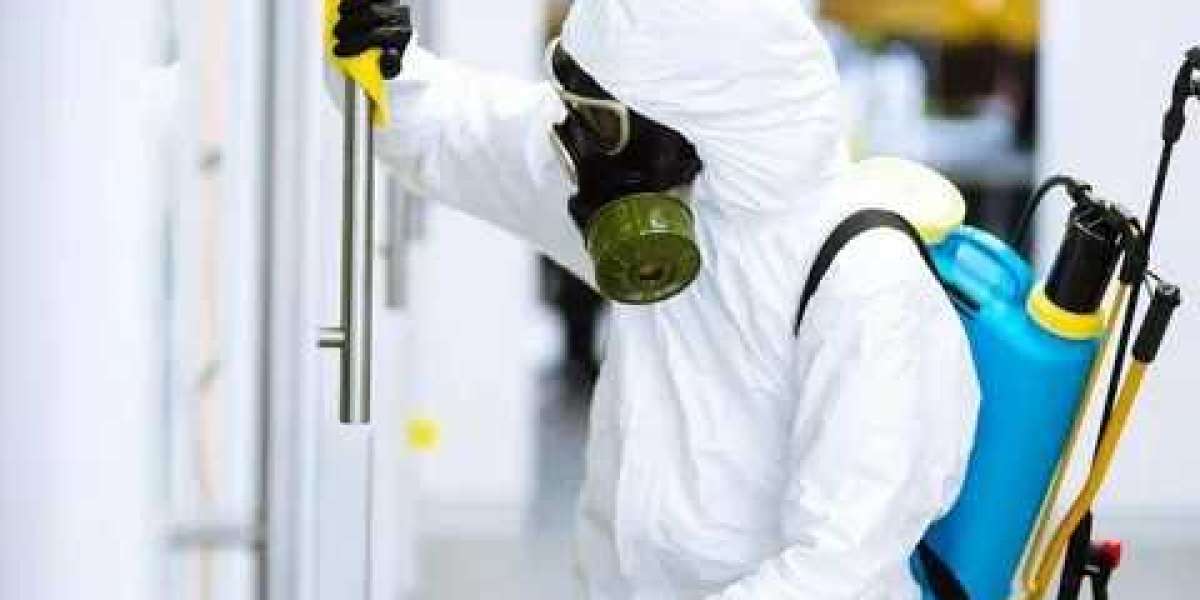 Comprehensive Guide to Effective Pest Control Solutions in Dubai & Abu Dhabi