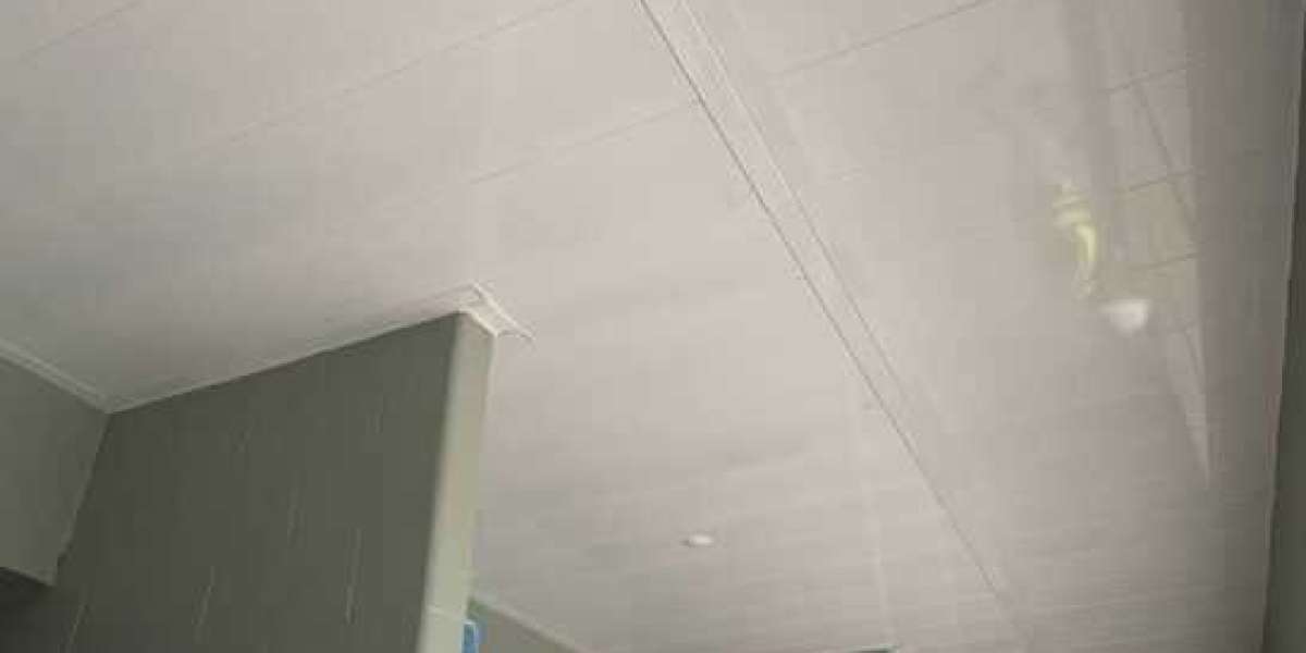 Your Top Questions About Security Ceilings Answered