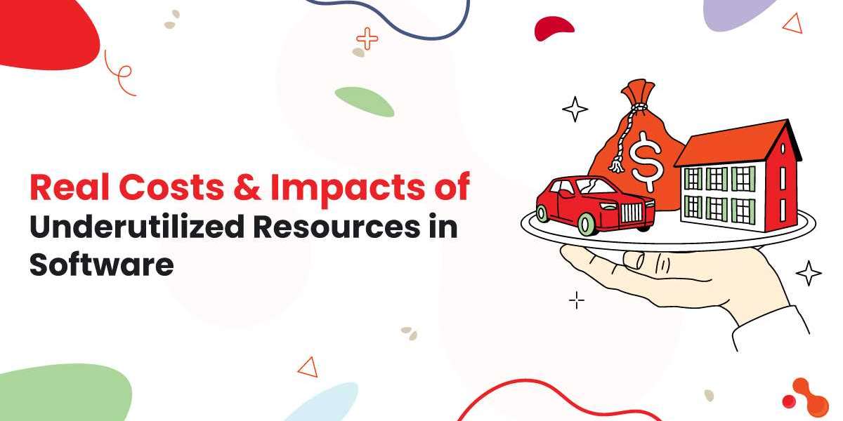 Real Costs & Impacts of Underutilized Resources in Software