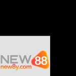 CEO New88