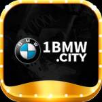 1BMW City
