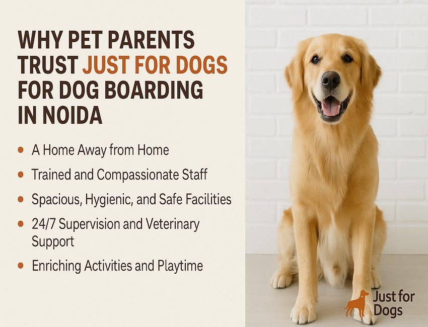 Why Pet Parents Trust Just for Dogs for Dog Boarding in Noida | by Just for Dogs | Jun, 2025 | Medium